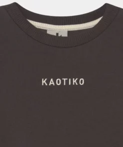 Kaotiko CREW SEATTLE UNISEX - Sweatshirt - Grey/purple/rouge/basil 7 Kaotiko CREW SEATTLE UNISEX - Sweatshirt - Grey/purple/rouge/basil -Kaotiko || Fire & Glory Populaire Magasin 73f672fd7a5d40d4bc15c43eca1957b0