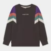 Kaotiko CREW SEATTLE UNISEX - Sweatshirt - Grey/purple/rouge/basil