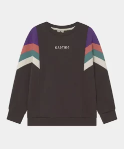 Kaotiko CREW SEATTLE UNISEX - Sweatshirt - Grey/purple/rouge/basil