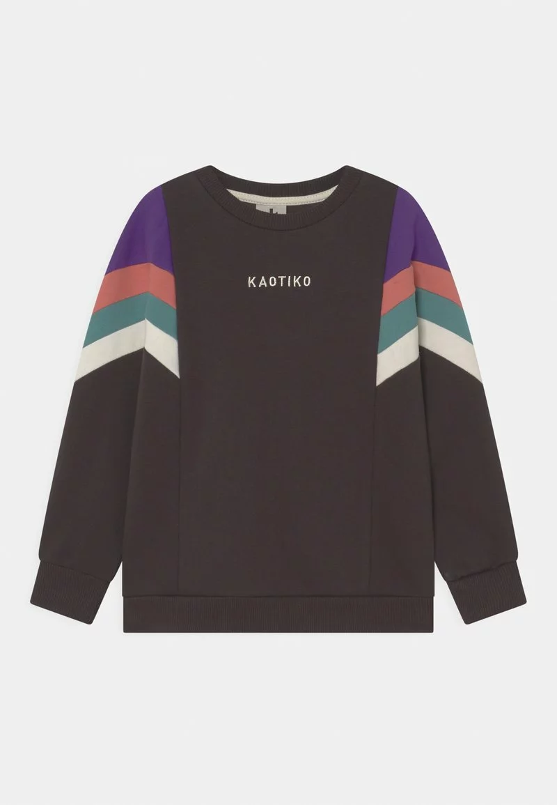 Kaotiko CREW SEATTLE UNISEX - Sweatshirt - Grey/purple/rouge/basil 3 Kaotiko CREW SEATTLE UNISEX - Sweatshirt - Grey/purple/rouge/basil