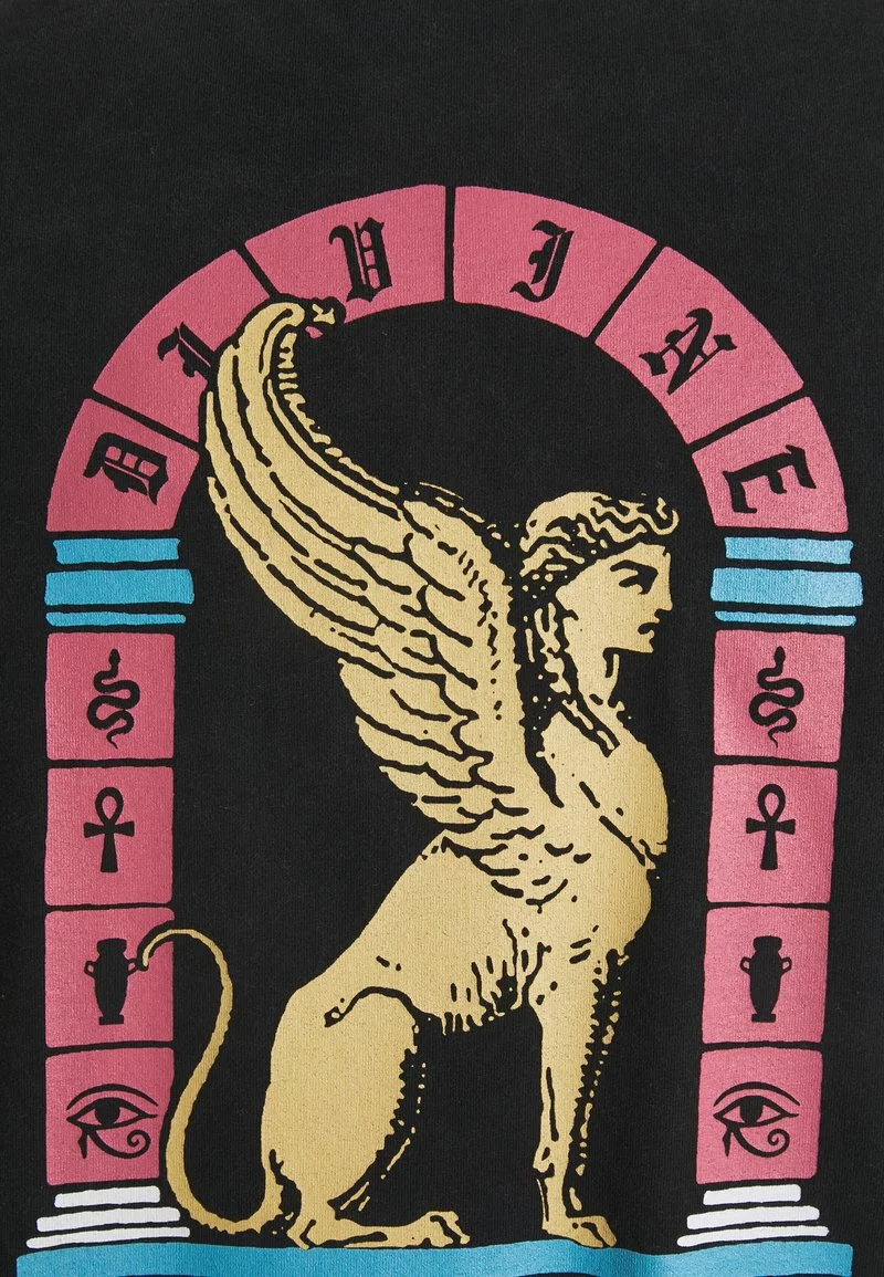 Kaotiko WASHED ETERNAL LION - T-Shirt Print - Black - Herren 5 Kaotiko WASHED ETERNAL LION - T-Shirt Print - Black - Herren – Bild 3