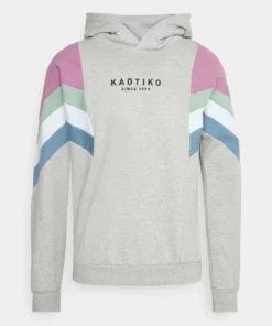 Kaotiko SUD CAP EWAN UNISEX - Kapuzenpullover - Grey/lila/fresh Green